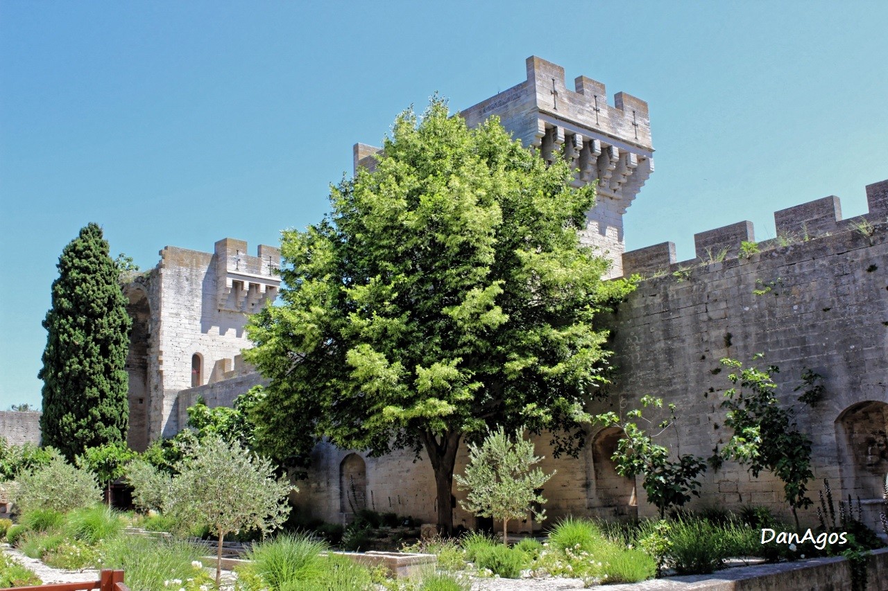 3 chateau de tarascon basse cour